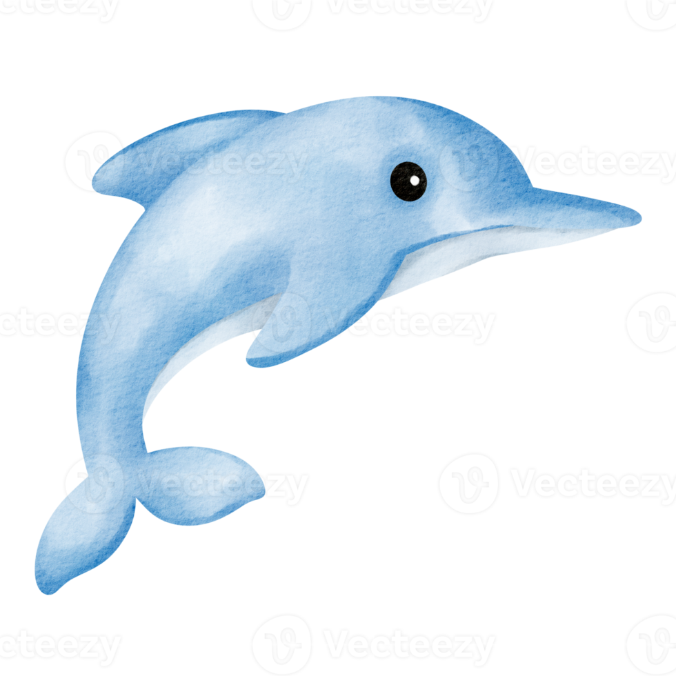 delfin vattenfärg klämma konst tecknad serie png