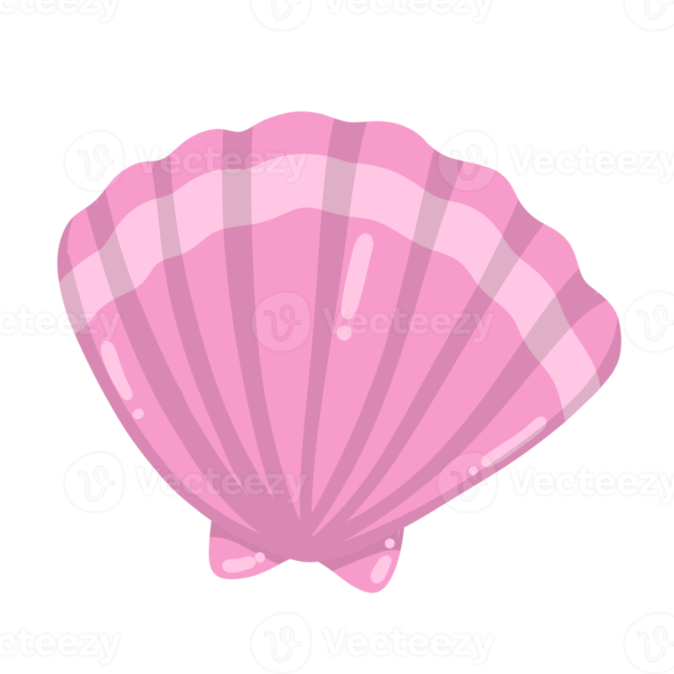 shell cartoon sea animal png