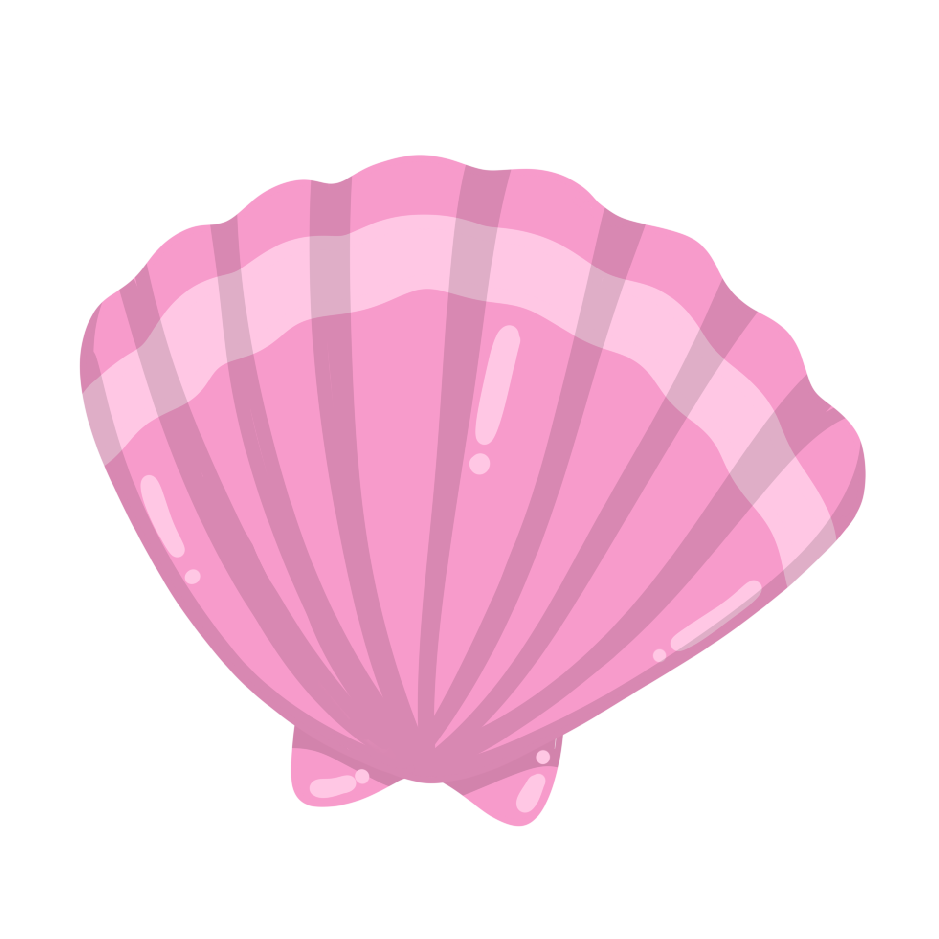 Free shell cartoon sea animal 16766008 PNG with Transparent Background