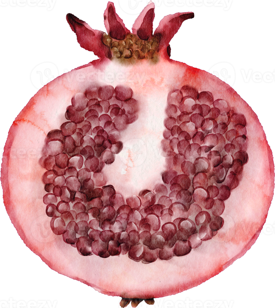 waterverf granaatappel klem kunst fruit png