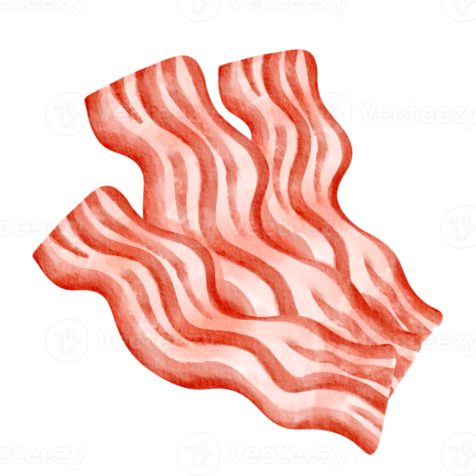 bacon fast food watercolor png