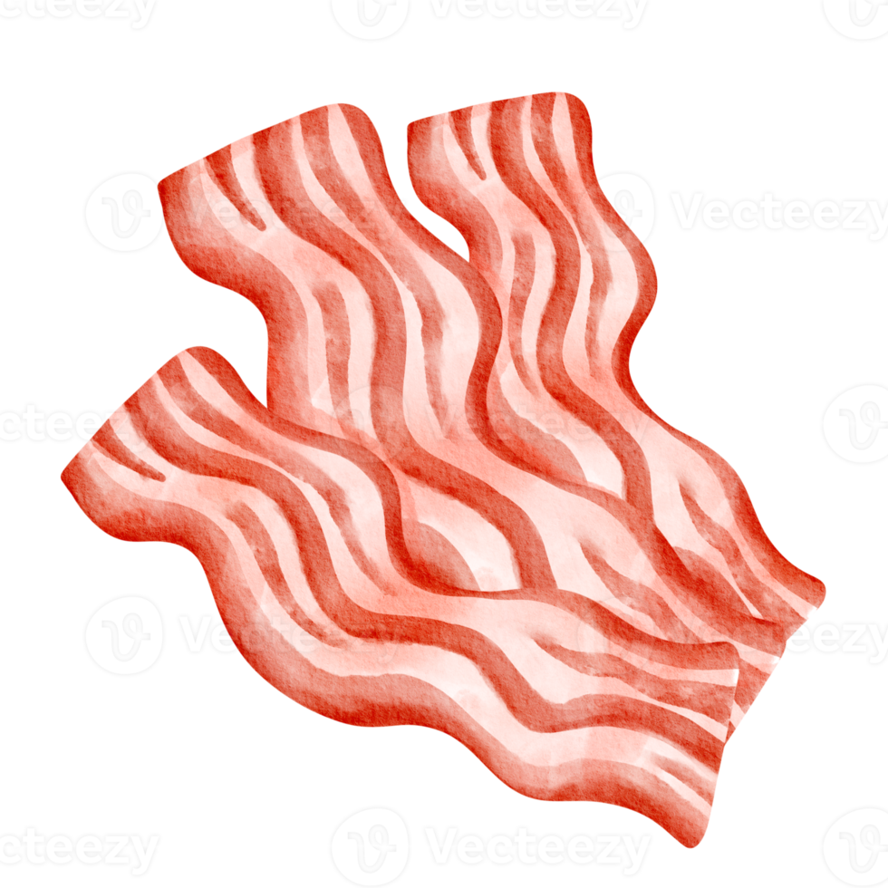 Bacon veloce cibo acquerello png