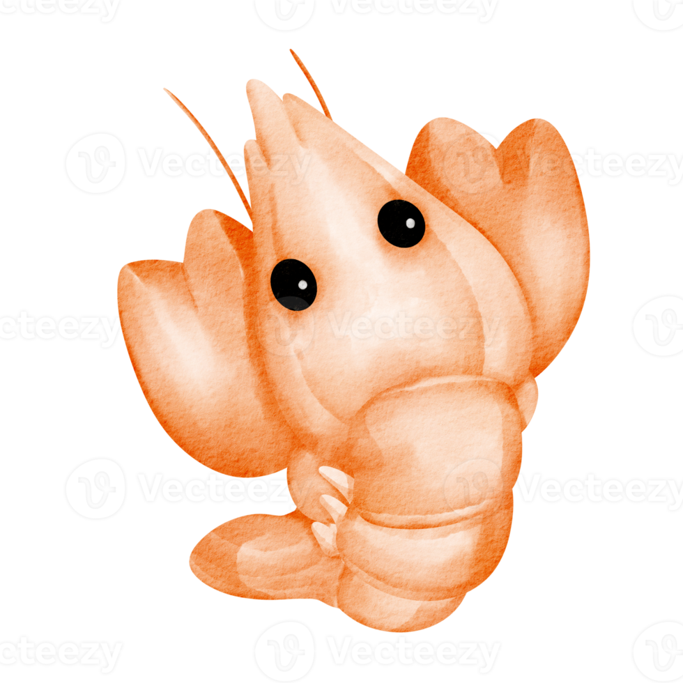 lobster watercolor clip art cartoon png