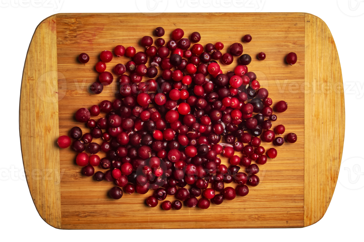 Fresh cranberries or Oxycoccus. Cranberries are rich in vitamins and minerals. Berries are used in medicine and cooking. png