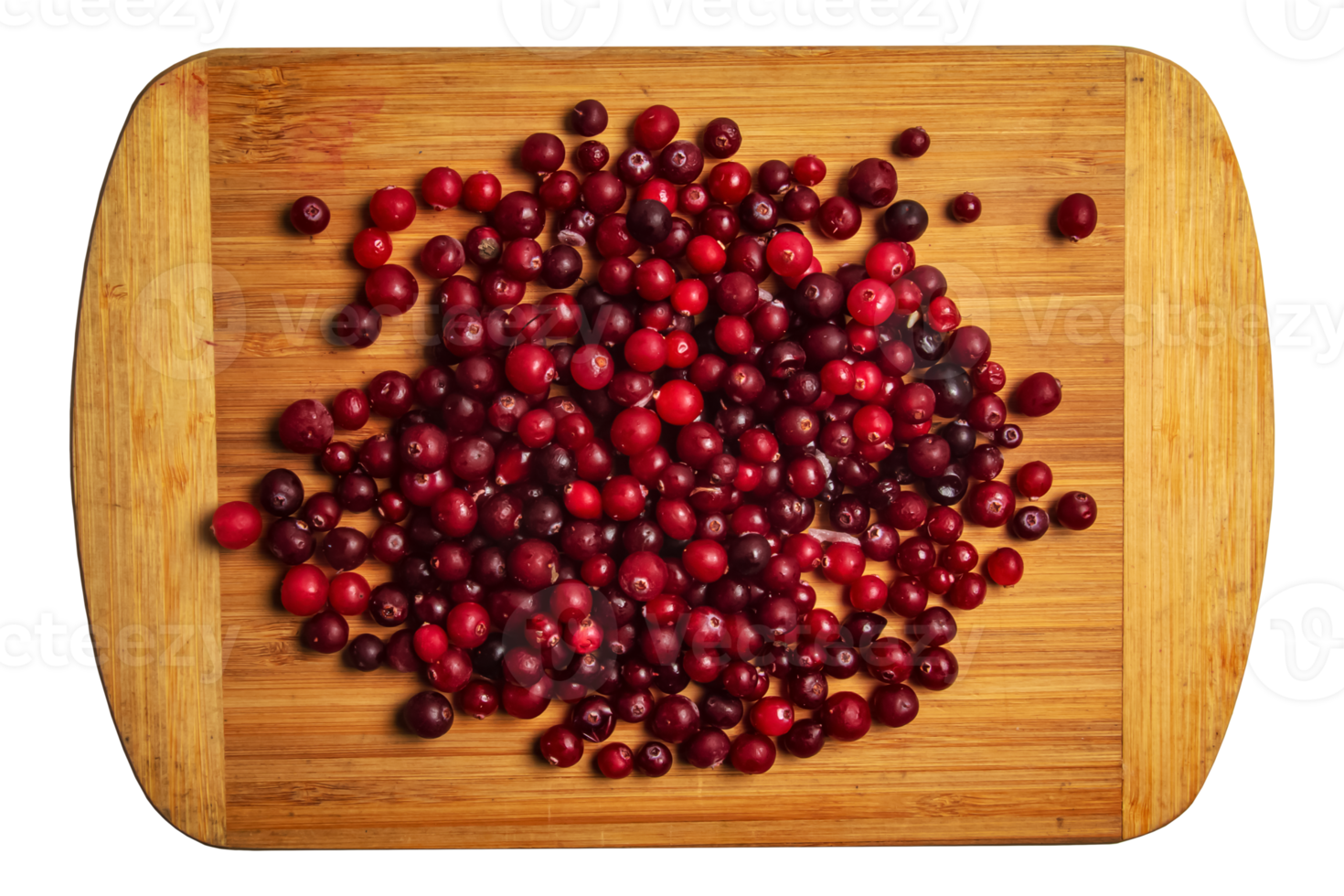 frische Preiselbeeren oder Oxycoccus. Cranberries sind reich an Vitaminen und Mineralstoffen. Beeren werden in der Medizin und in der Küche verwendet. png