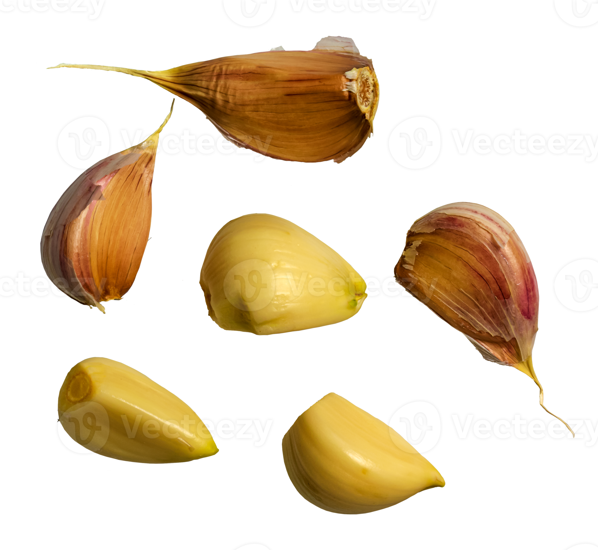 Peeled and unpeeled garlic cloves from different angles isolated