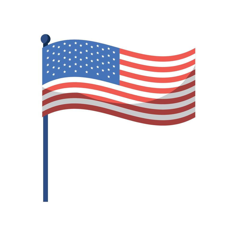 USA national flag vector