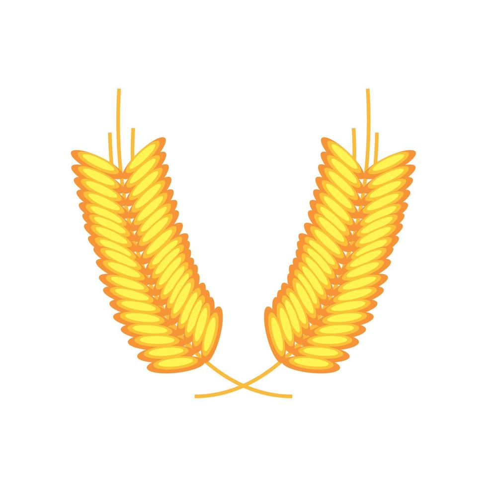 wheat spikes icon vector