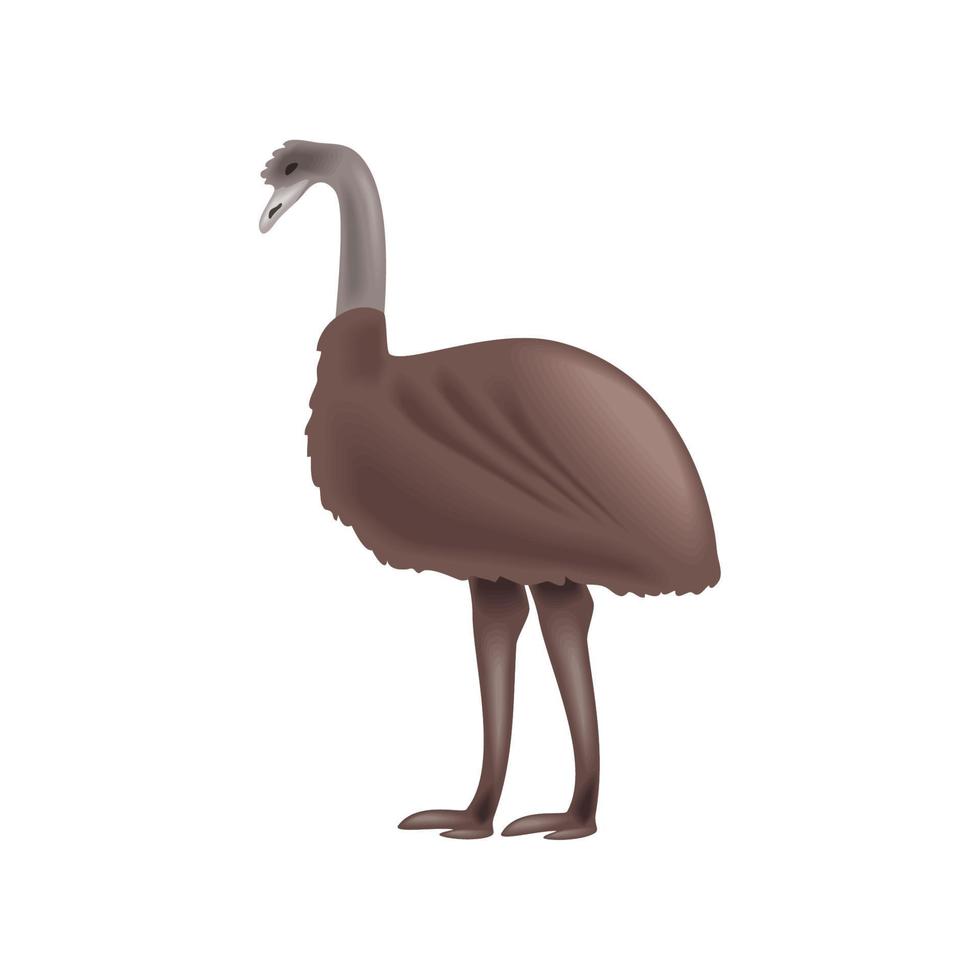 icono de animal emú vector