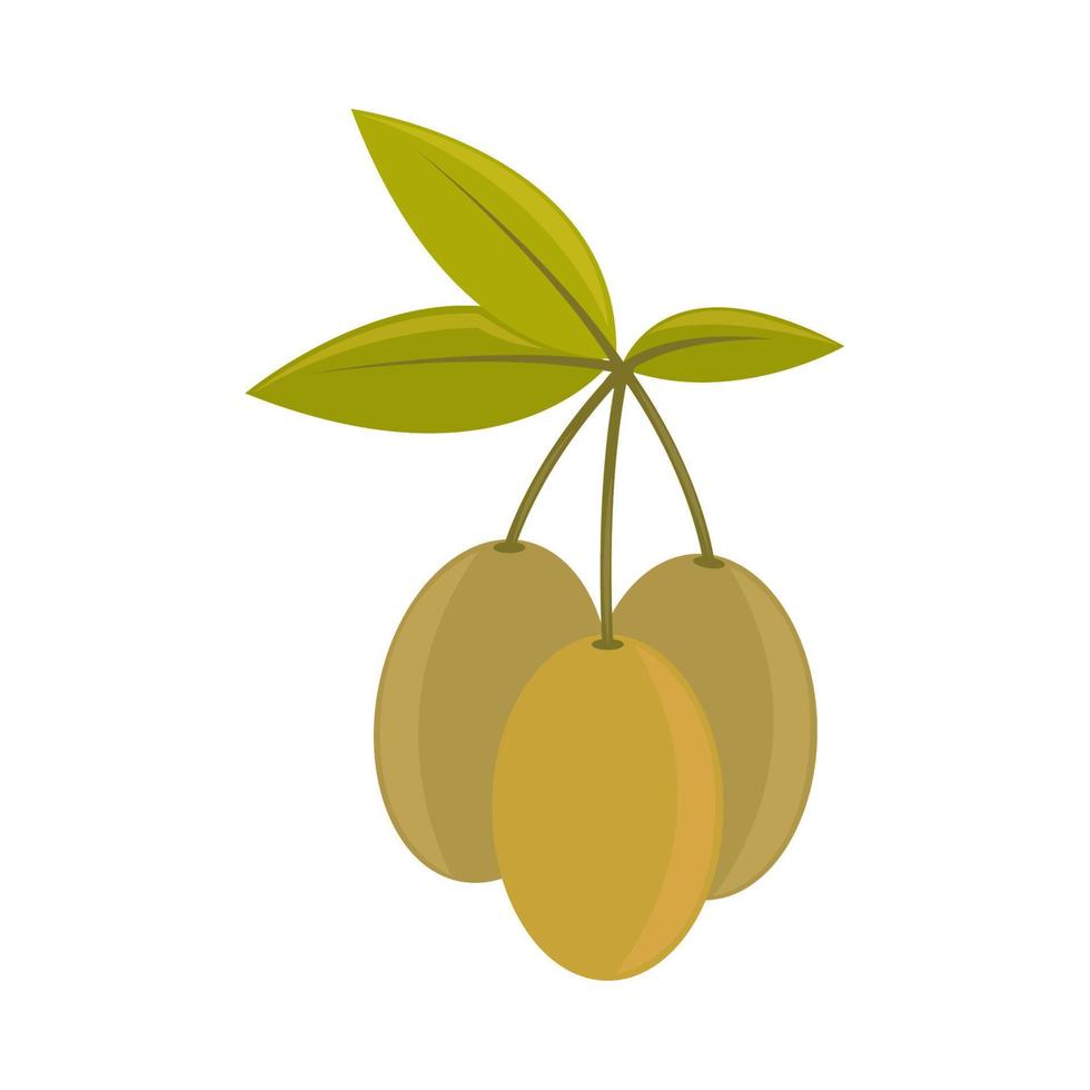 olives branch icon vector