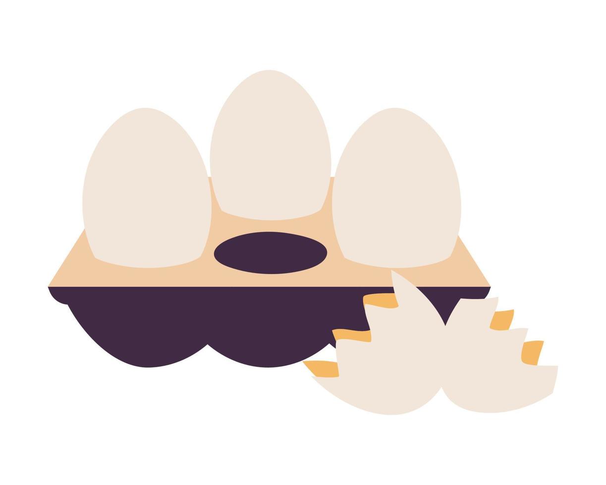 cooking, eggs in box vector