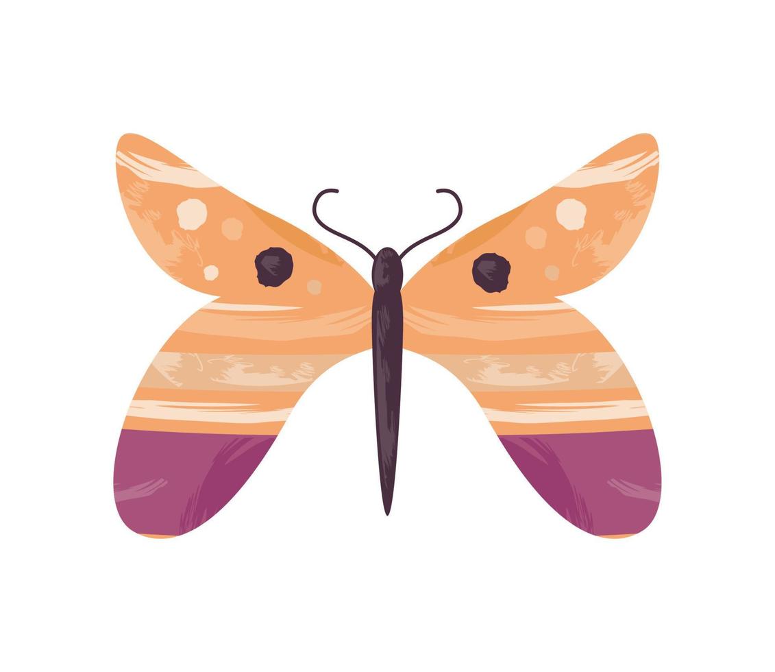 butterfly boho style vector