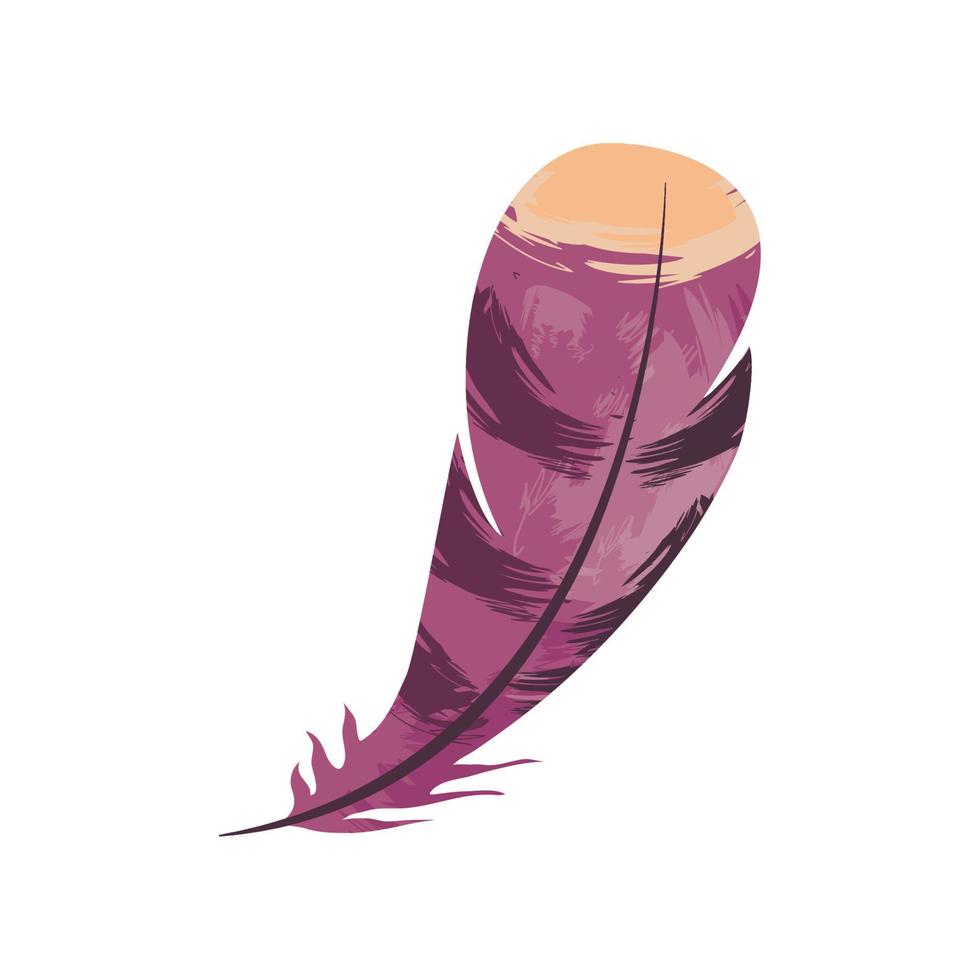 estilo boho de plumas vector