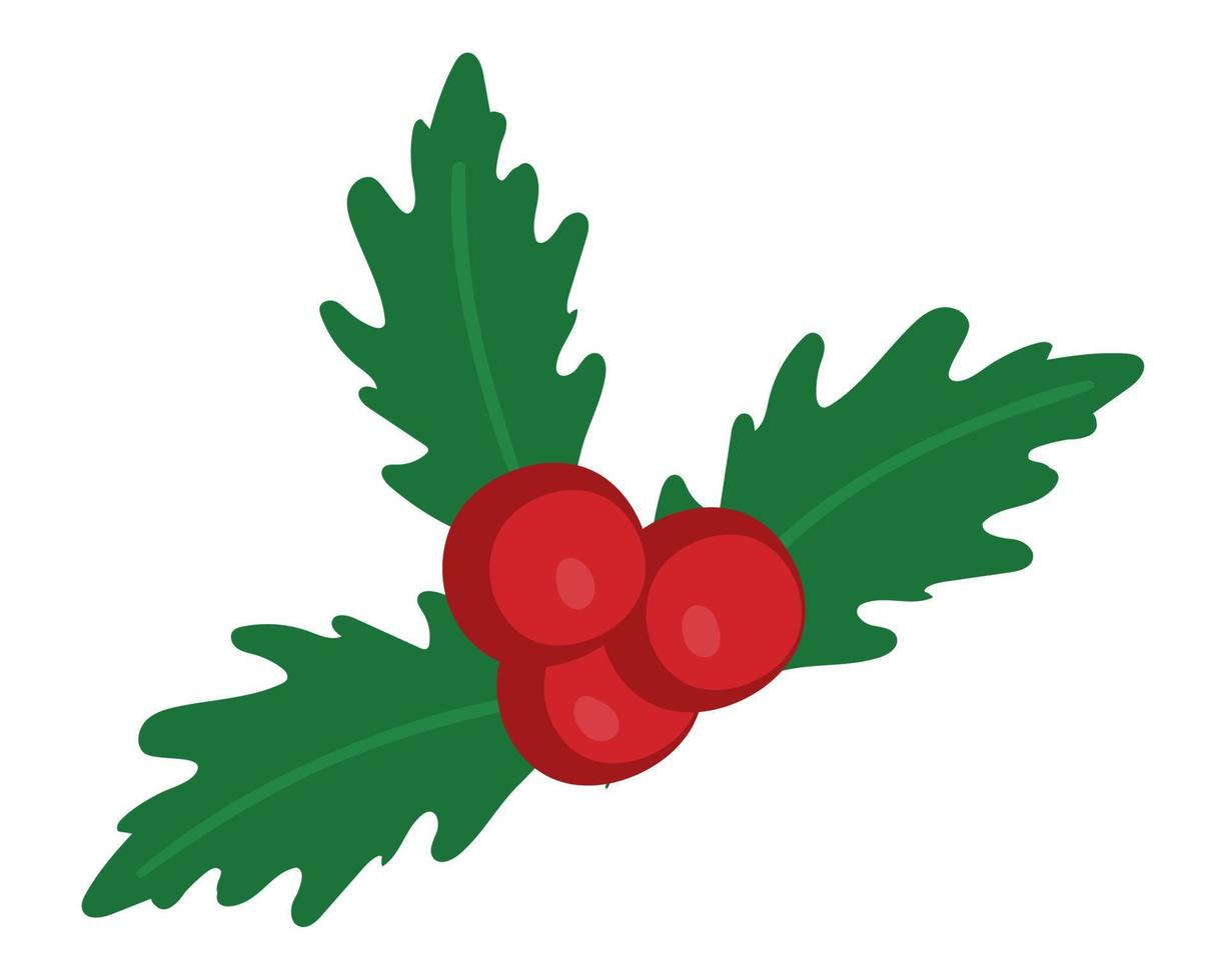 holly berry christmas hand drawn vector