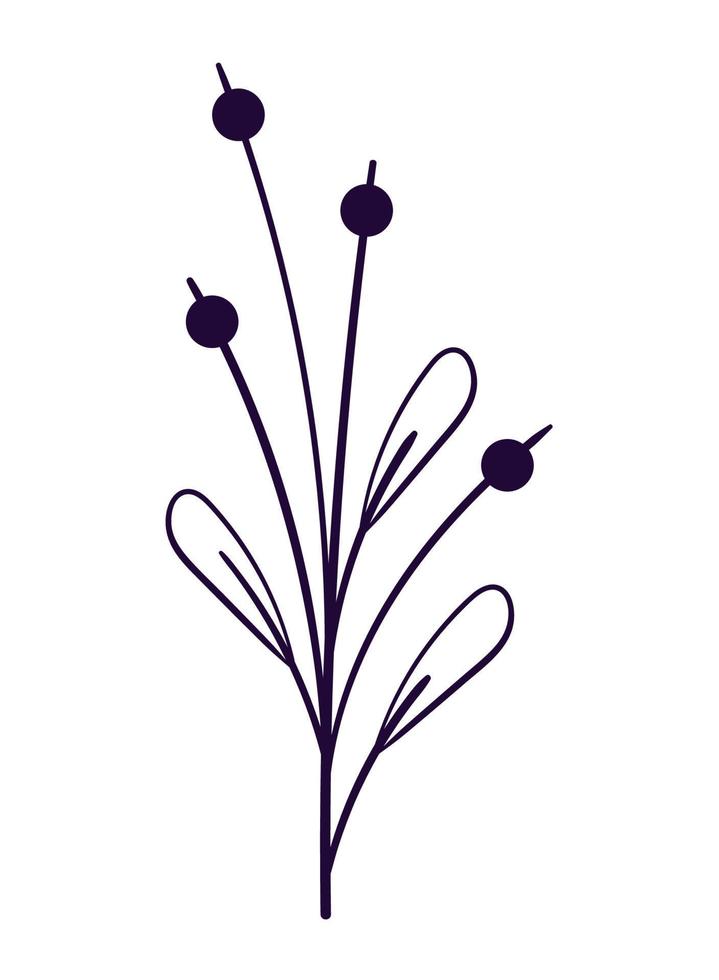 doodle leaf and fruits vector