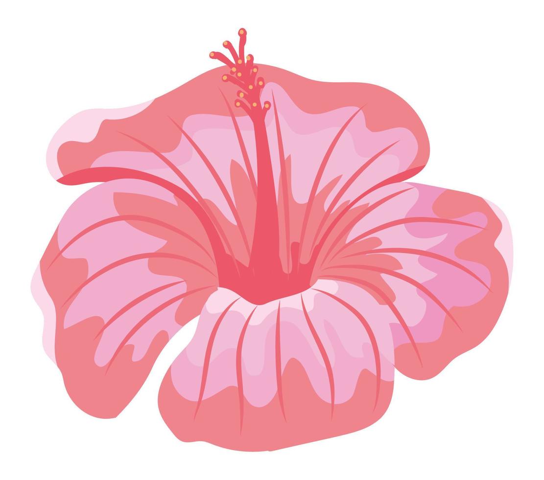 icono de flor de hibisco vector