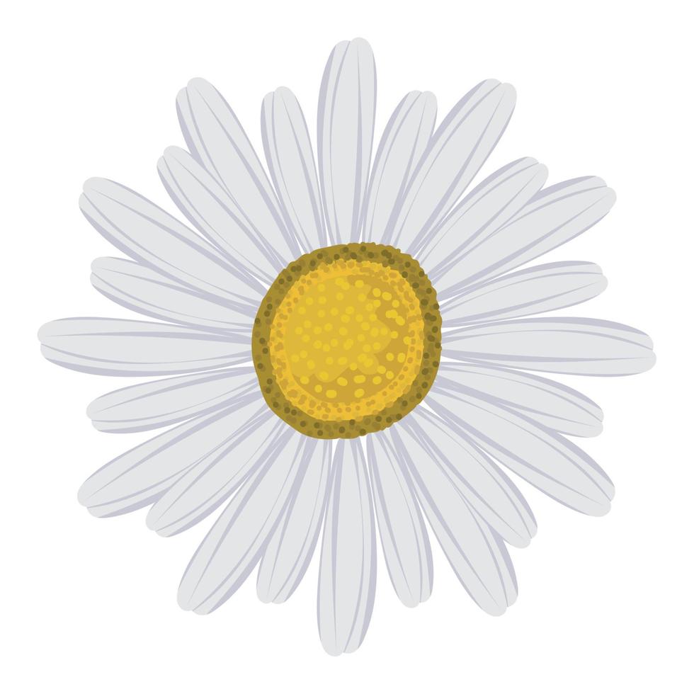 icono de flor de margarita vector