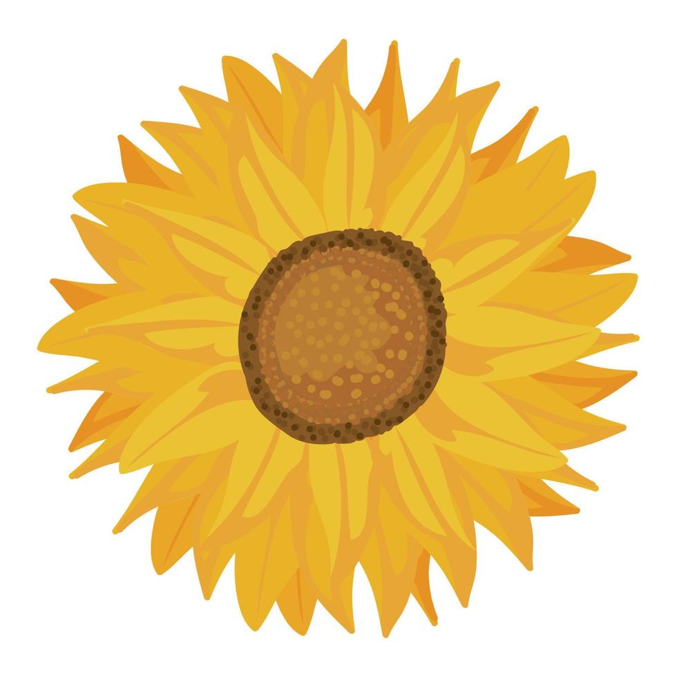 icono de la naturaleza de girasol vector