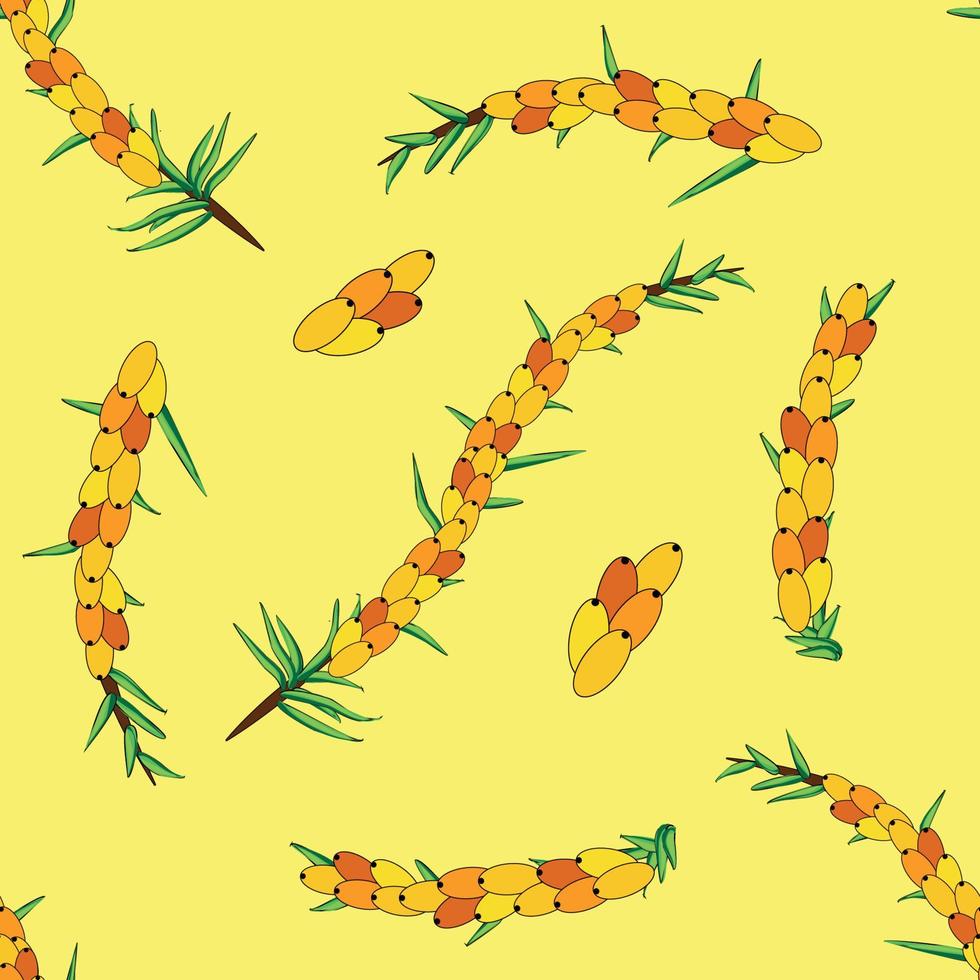 Sea buckthorn seamless pattern. Twigs with berries and leaves. Template with orange fresh berries for wallpaper vector