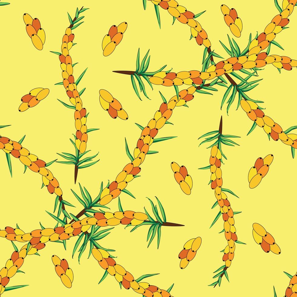 Sea buckthorn seamless pattern. Twigs with berries and leaves. Template with orange fresh berries for wallpaper vector