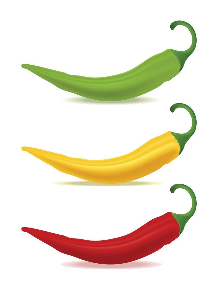 Three bell peppers long red yellow green vector
