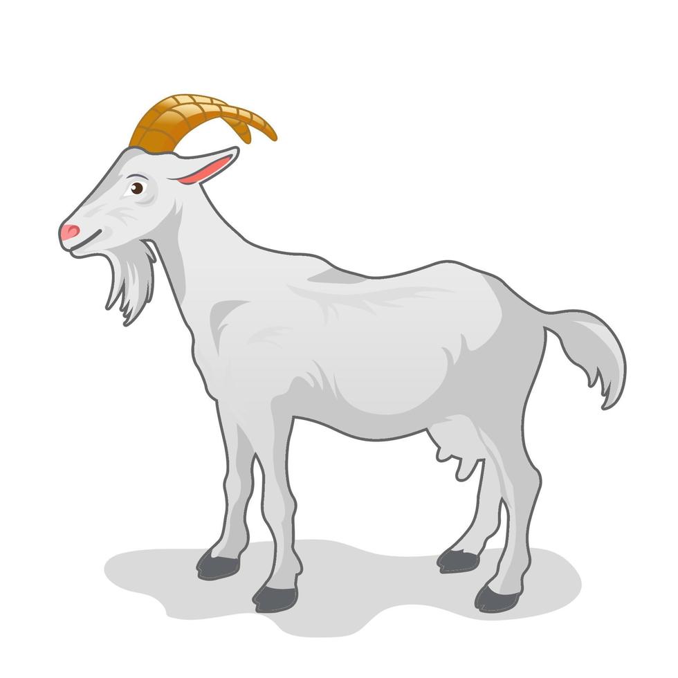 cartoon white goat isolated on white background 16769816 Vector Art at ...