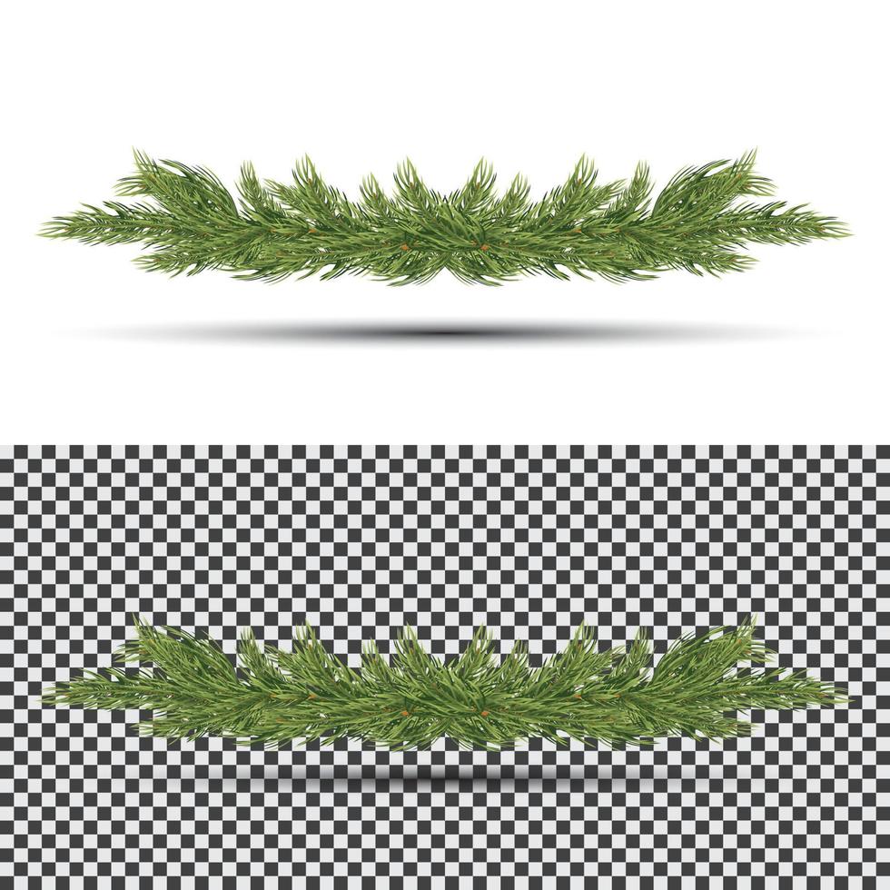 Fir Branch Isolated on White Background. vector