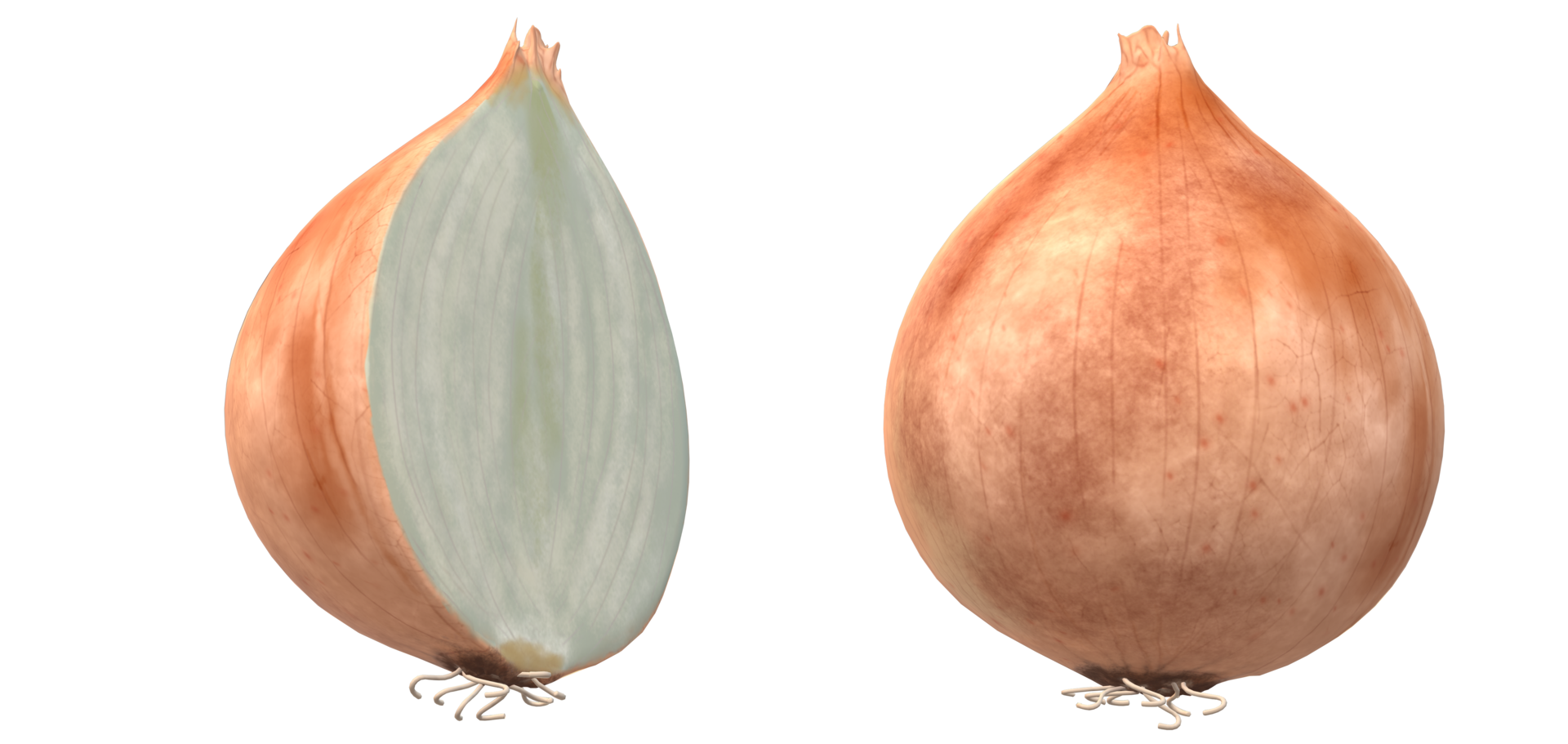 Onion Vegetable 3d Render on transparent background 16774447 PNG