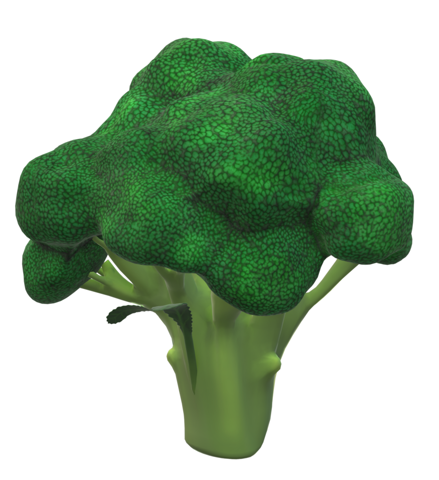 Broccoli - Fruit 3d Render on transparent background png