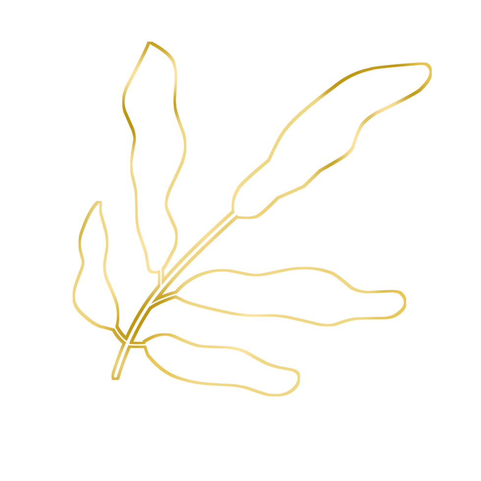 Gold Leaf Illustration 16774971 PNG