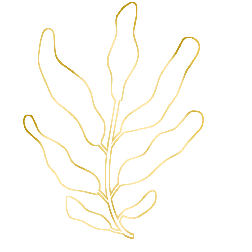 Gold Leaf Illustration png