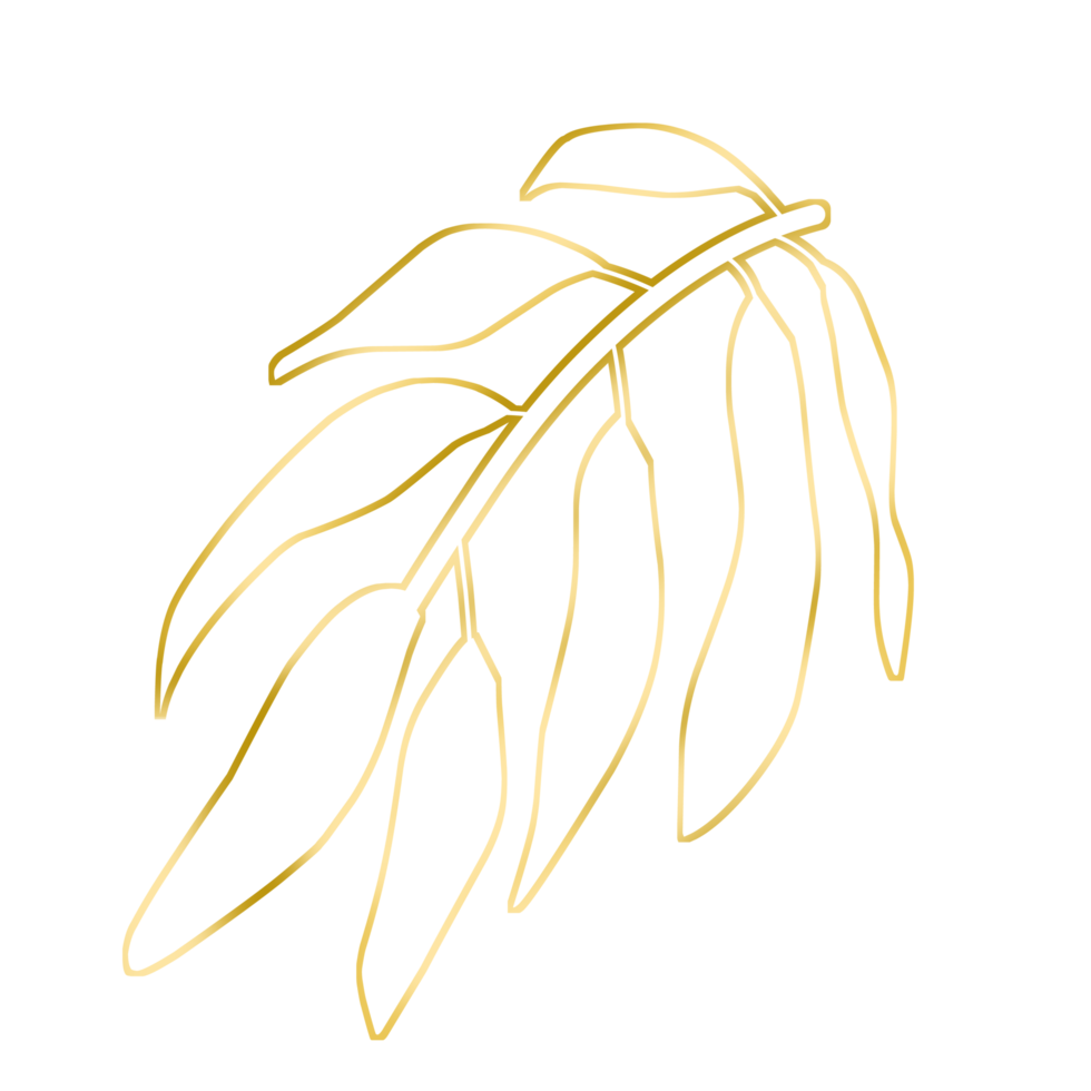 Gold Leaf Illustration png