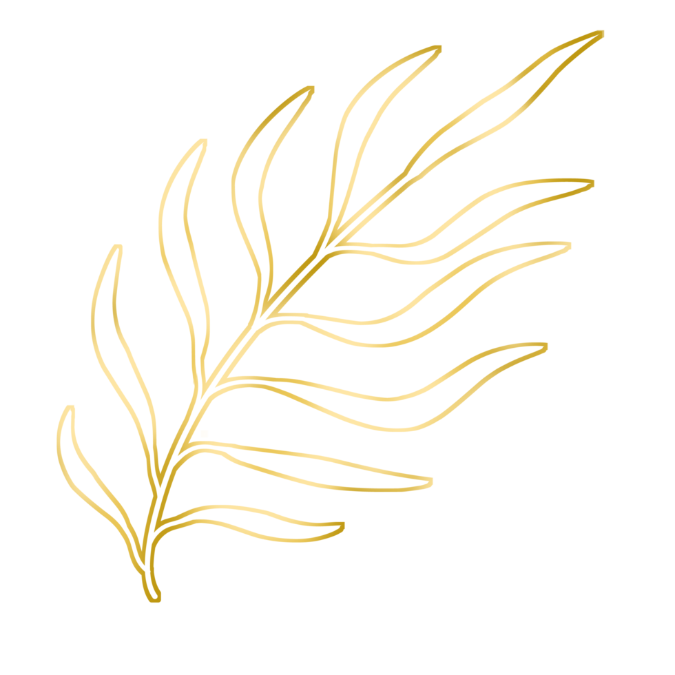 Gold Leaf Illustration png