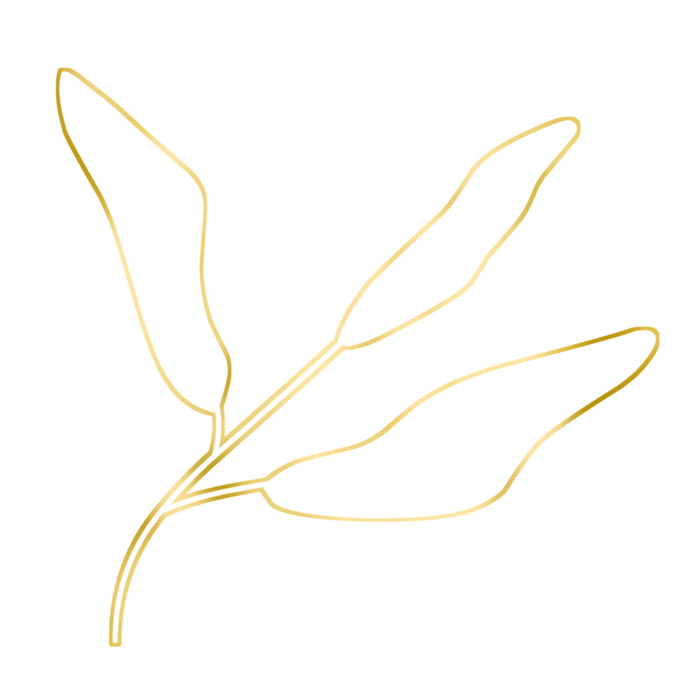 Gold Leaf Illustration 16774986 PNG