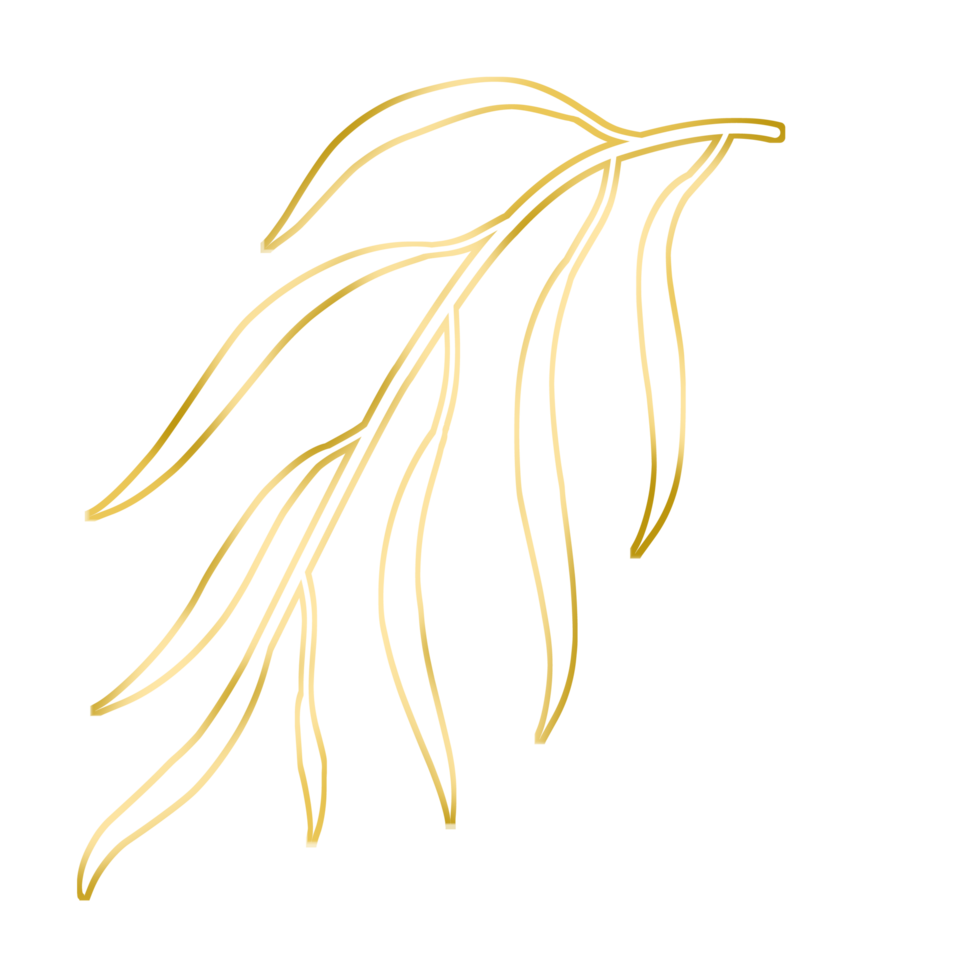 ilustração de folha de ouro png