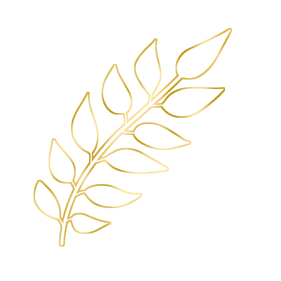 Gold Leaf Illustration png