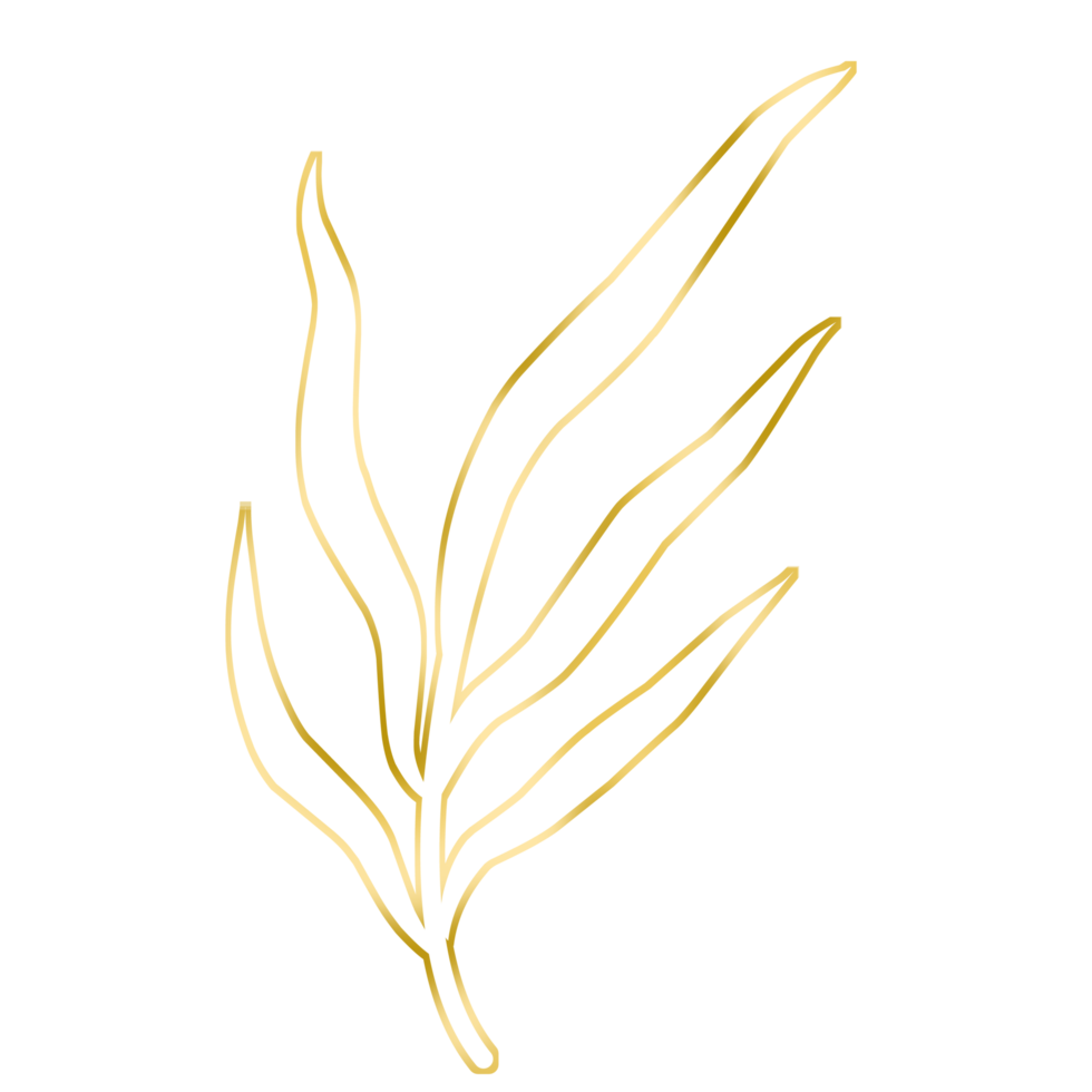 Gold Leaf Illustration png