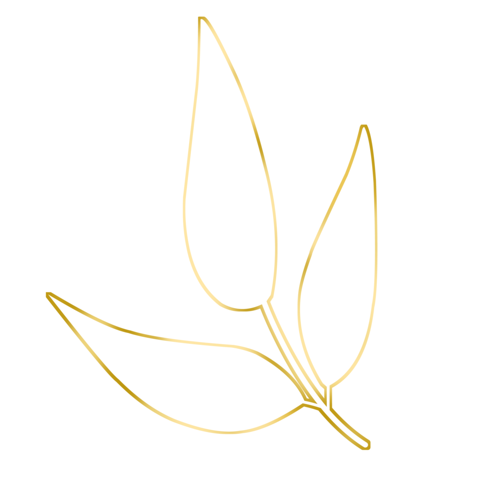 Gold Leaf Illustration png