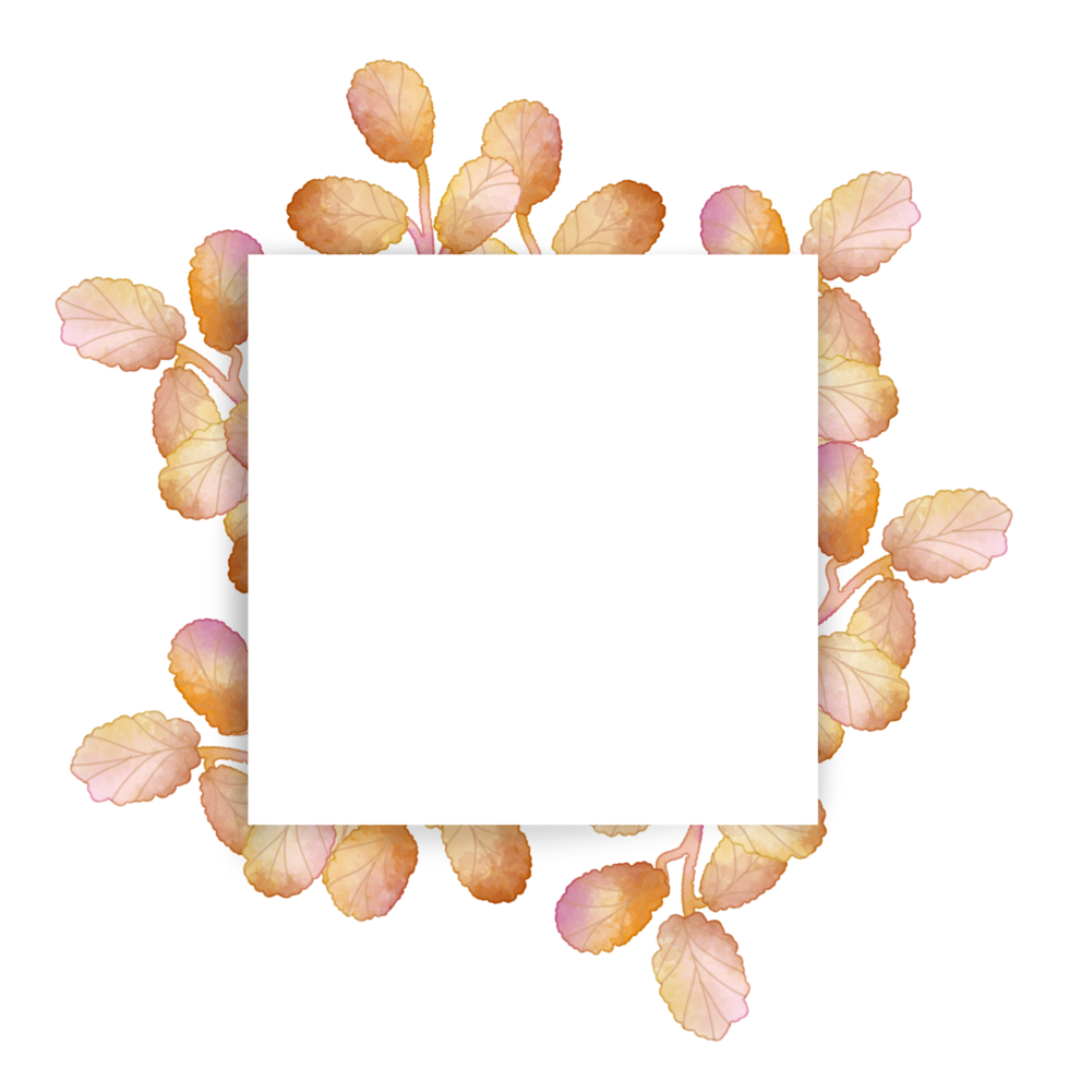 cadre aquarelle feuille png