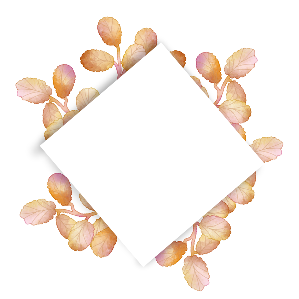 cadre aquarelle feuille png