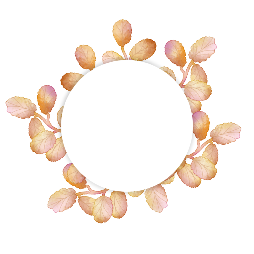 Leaf Watercolor Frame png