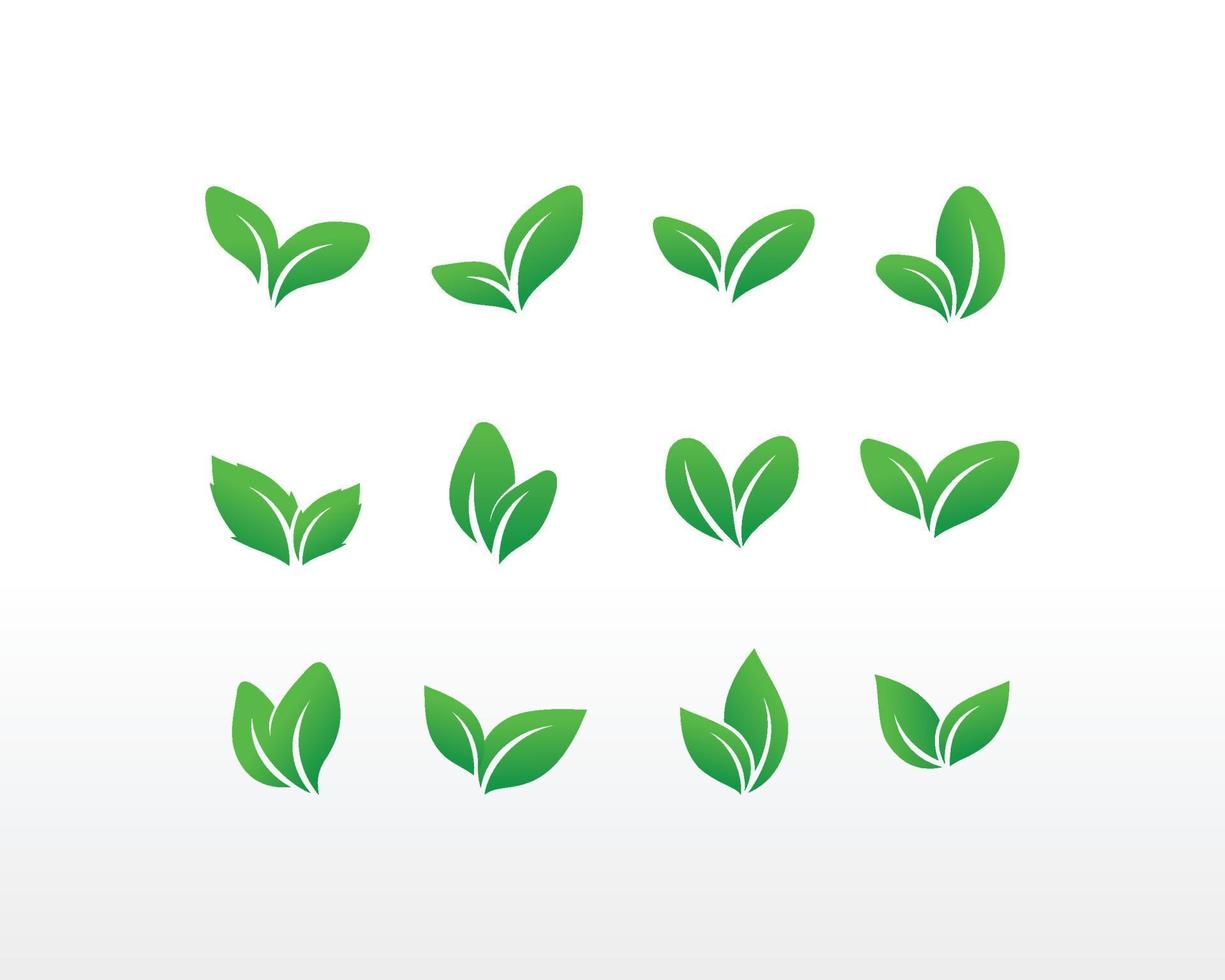 Leaf Logo Icon. Leaf Symbols Vector Template