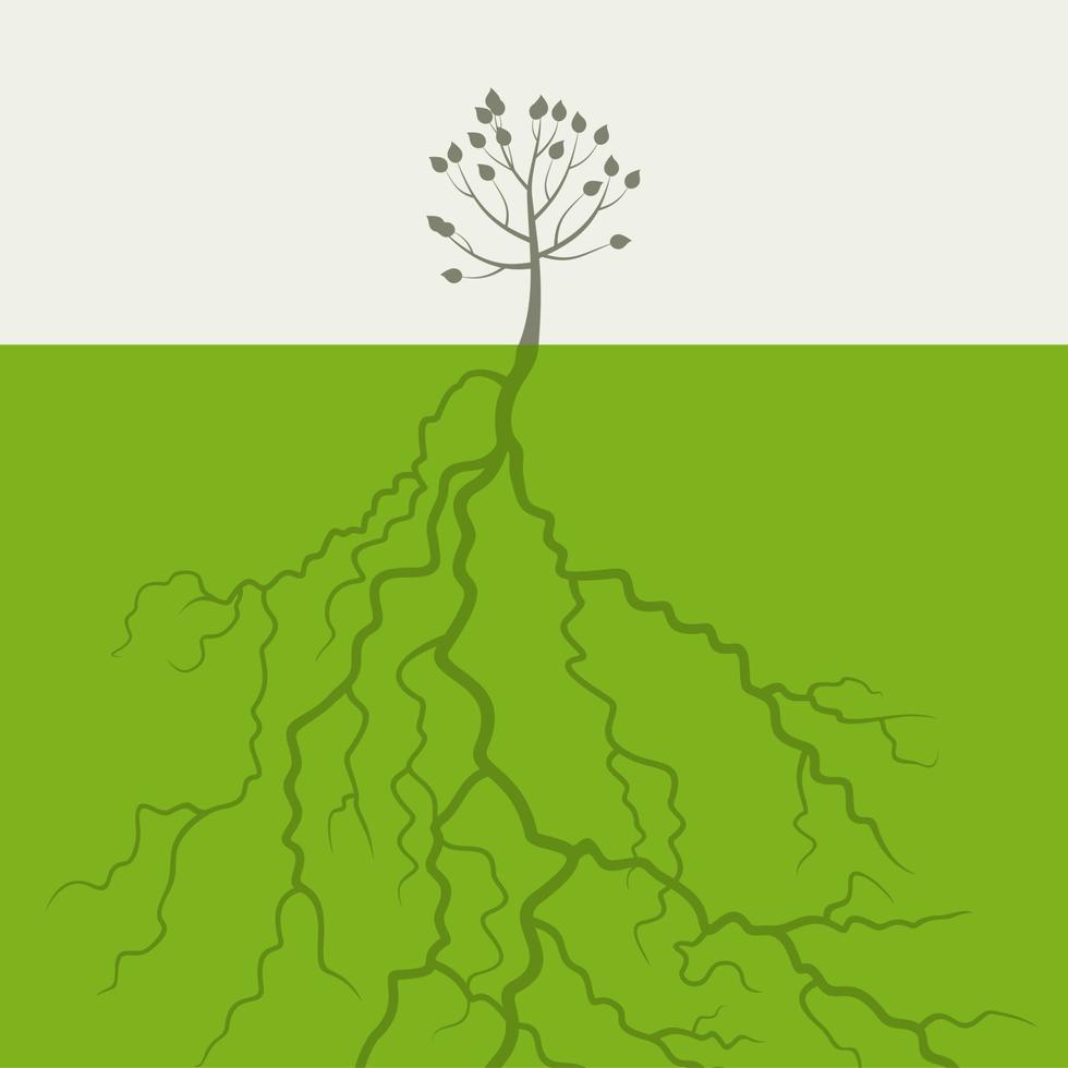 Small tree with the big root. A vector illustration