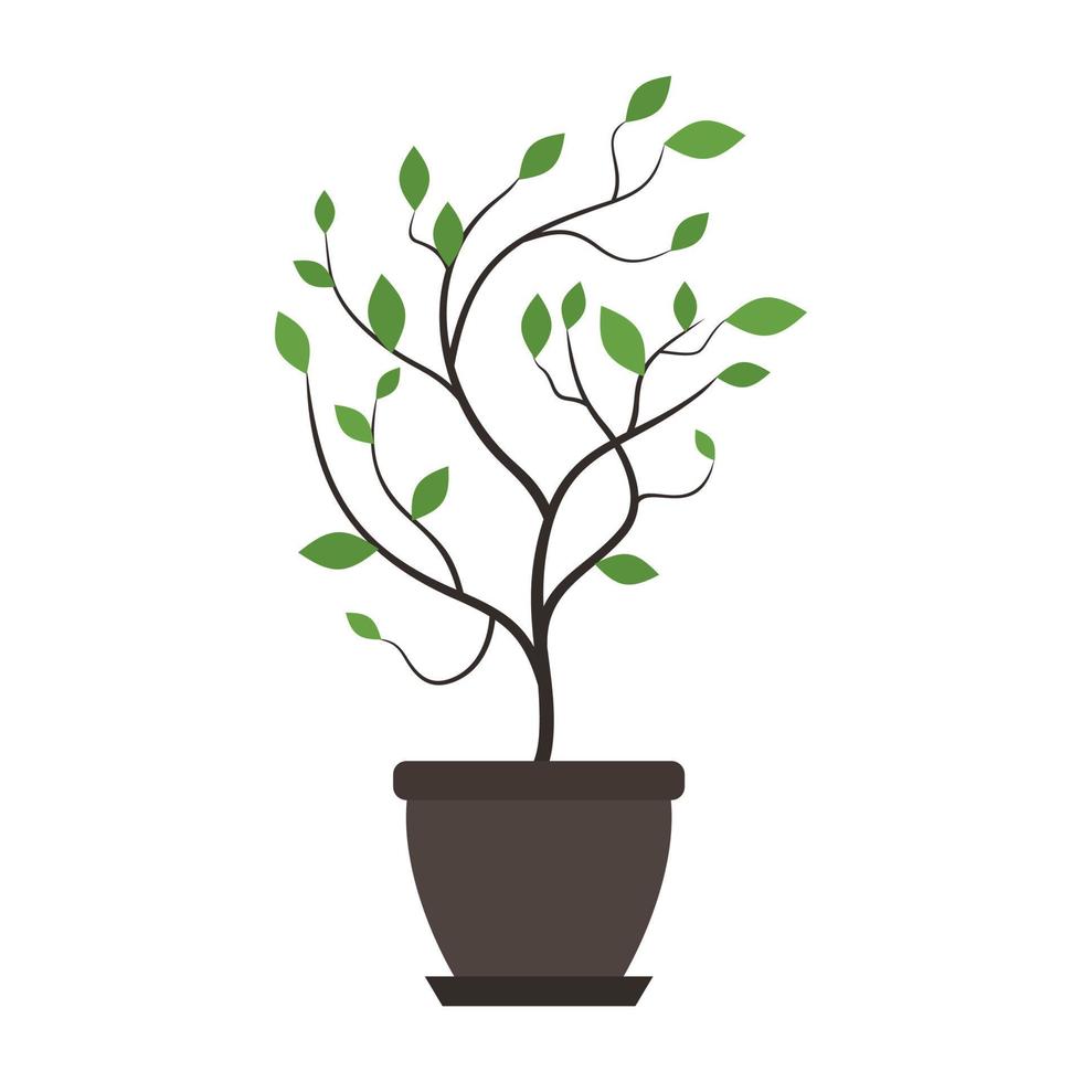 Tree in pot vector