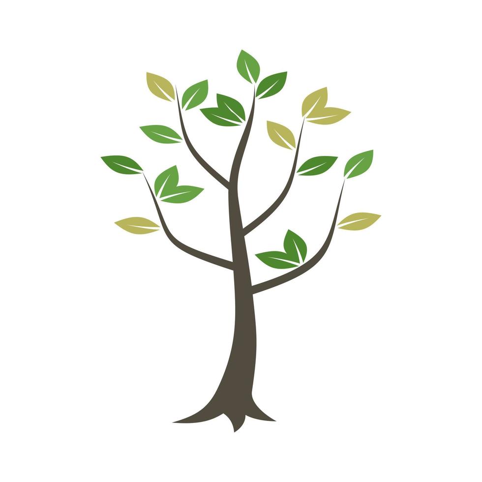 Tree with a green crone. A vector illustration