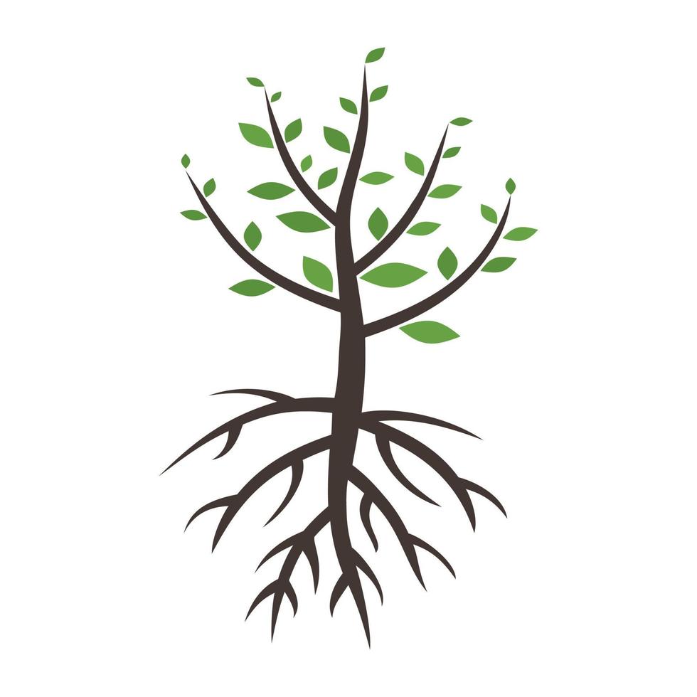 Tree with a green crone. A vector illustration