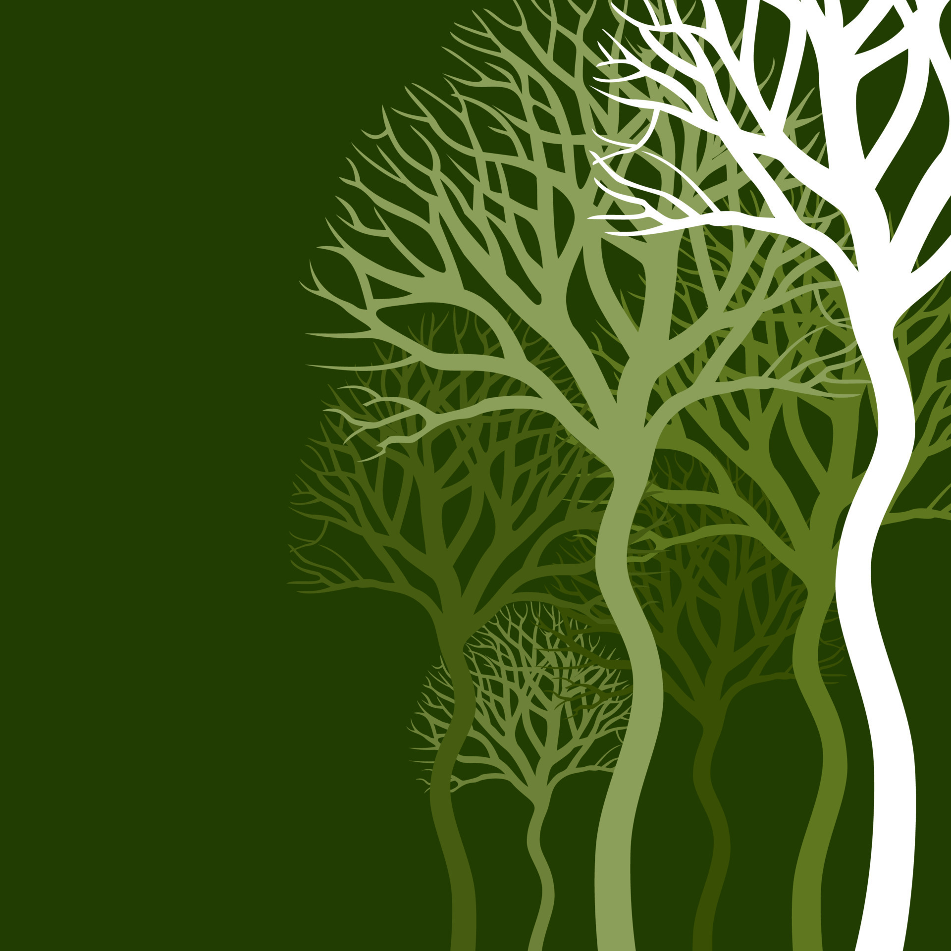 Wood of trees on a green background. A vector illustration 16776433