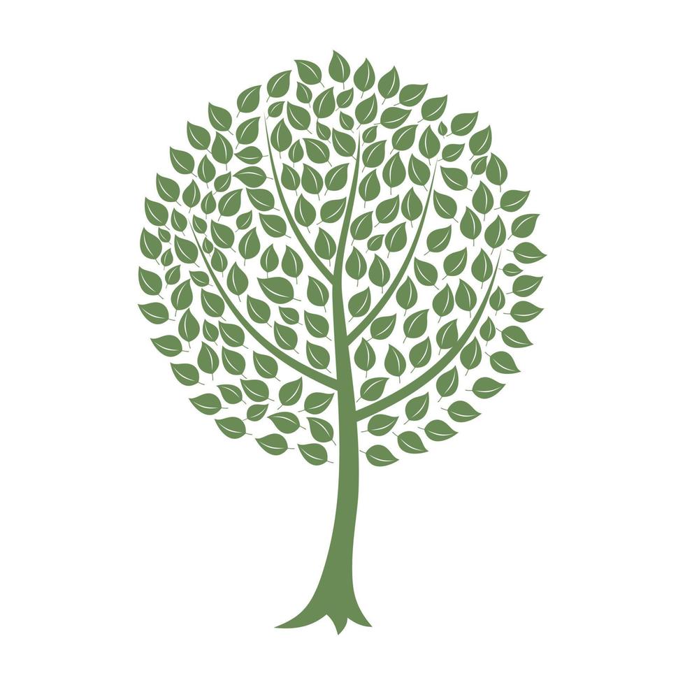 Tree with a roundish crone. A vector illustration