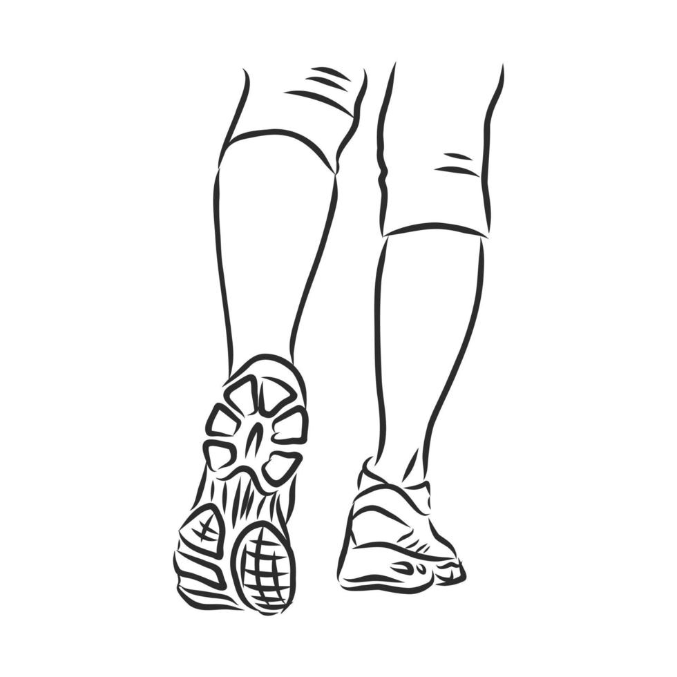 human legs vector sketch