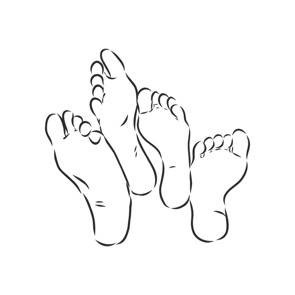 human legs vector sketch